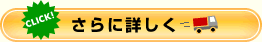 さらに詳しく